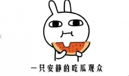 有网红吃瓜网站吗,揭秘娱乐圈幕后真相